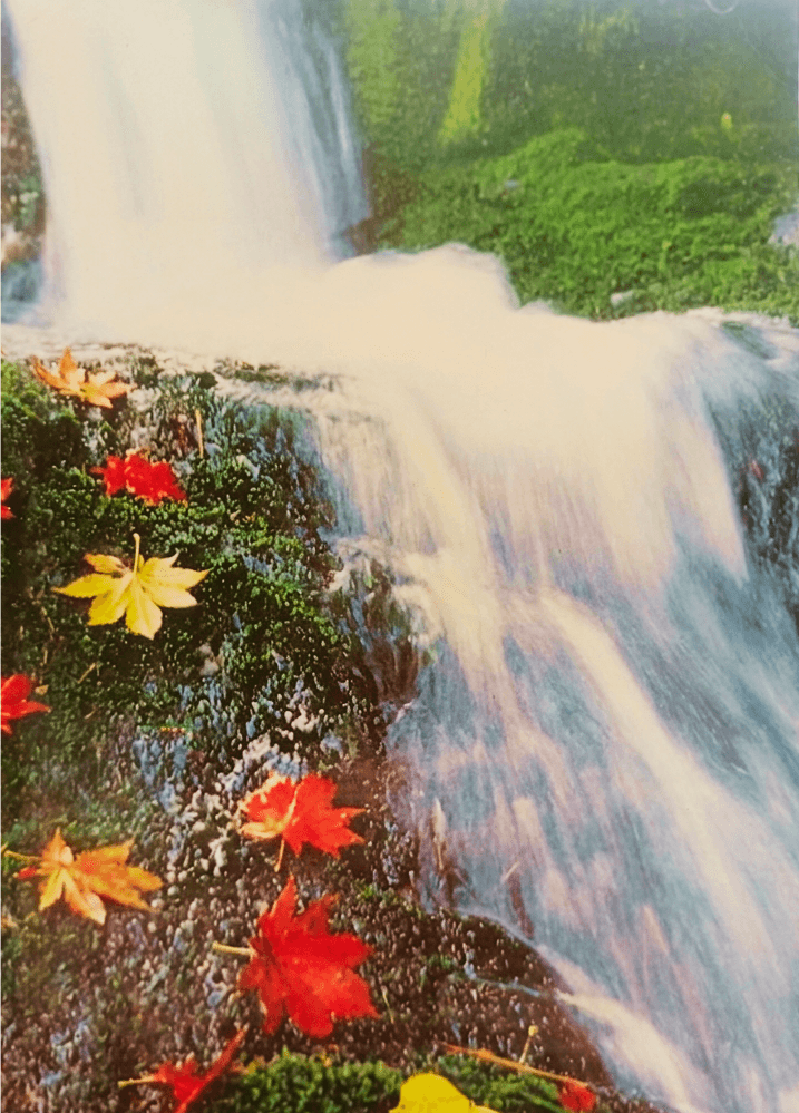 ਬੰਦੇ ਤੋਂ ਰੱਬ ਭਾਗ-2